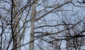 4775 S 50th Rd, Aldrich, MO 65601