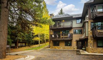 650 S Monarch St 9, Aspen, CO 81611