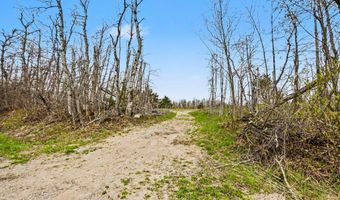 4056 N Ayr Rd, Alanson, MI 49706
