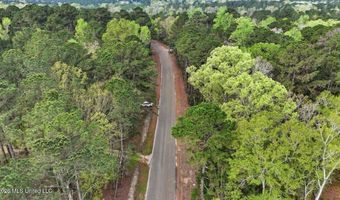 Harrisville Braxton Road, Braxton, MS 39044