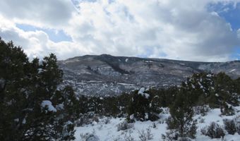 Tbd 117 County Road, Glenwood Springs, CO 81601