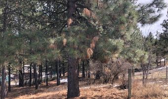 512 Skyline Dr, Cascade, ID 83611