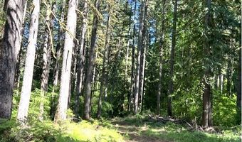 Tunnel Tract Parcel3, Banks, OR 97106
