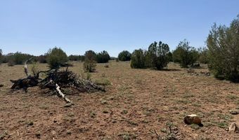 W26 Prairie Dog Road, Ash Fork, AZ 86320