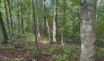 37928 Buck Run Rd, Albany, OH 45710