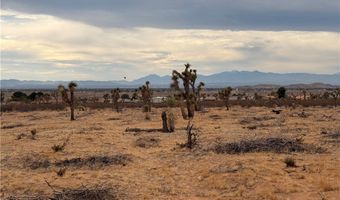 16252 Olema Rd, Apple Valley, CA 92307