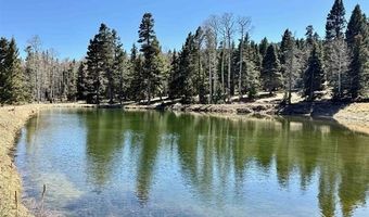 53 Forest Rd 76, Angel Fire, NM 87710