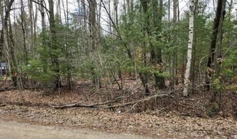N Forest Lake Drive, Alger, MI 48610