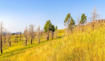 111 Bridger Spring Trl, Bozeman, MT 59715
