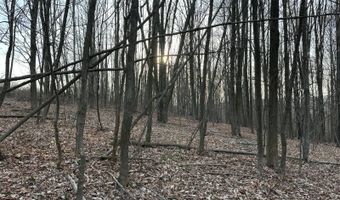 Lot 4 Mud Run Rd, Addison, NY 14801