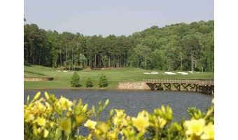 110 Hawks Club Dr, Ball Ground, GA 30107