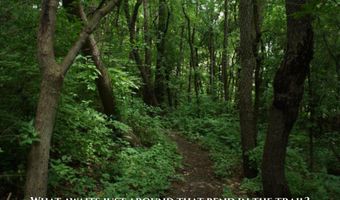 285 Brookside Dr, Ann Arbor, MI 48105