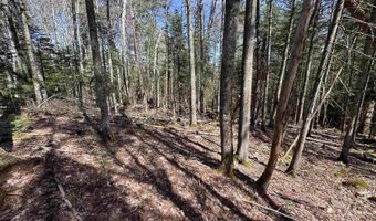 Prospect Street, Bethlehem, NH 03574