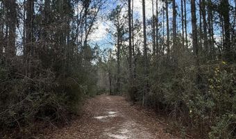 51235 Phillipsville Rd, Bay Minette, AL 36507