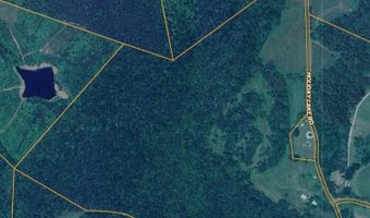 Holiday Lake Rd, Appomattox, VA 24522