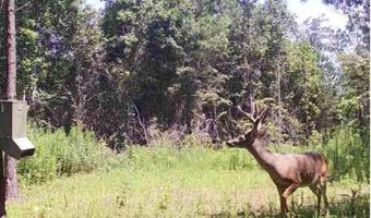 104 Acres Wesson Gap Rd, Attalla, AL 35954