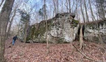 Whiskey Creek Lane, Batesville, AR 72501