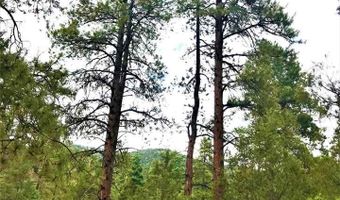 53 Paw A Suki, Arroyo Seco, NM 87514