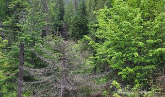NNA Silver Ave, Bayview, ID 83803