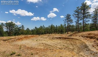 8719 Ponderosa Pine Dr, Beulah, CO 81023
