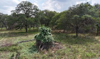 1228 Morning Glory Ln, Adkins, TX 78101