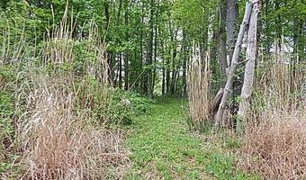 15252 27 Mile Rd, Albion, MI 49224