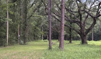 10901 Hall Dr, Axis, AL 36505