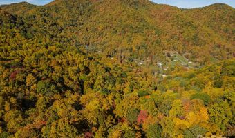 99999 Harwood Rd, Barnardsville, NC 28709