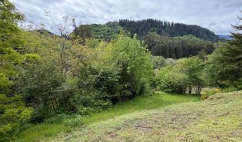 301 UPPER NESTUCCA RIVER Rd, Beaver, OR 97108