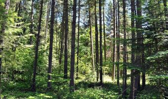 60317 Highway 200, Clark Fork, ID 83811