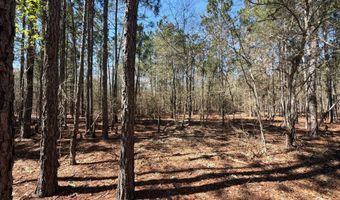 Bhl 10 Boise Cascade Bhl 10, Bethune, SC 29009