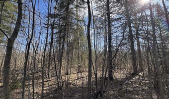 2254 E M30, Alger, MI 48610