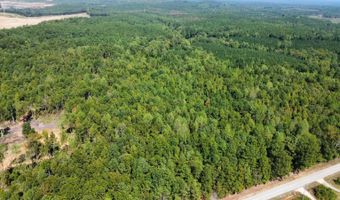 3 Highway 790, Ackerman, MS 38963