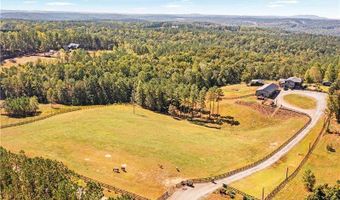 3547 Reavis Mountain Rd, Ball Ground, GA 30107