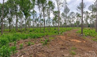 Wilson Lane, Arnoldsville, GA 30619