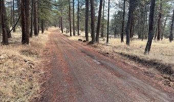 Chicken Hawk Drive Lot 20, Bonanza, OR 97623