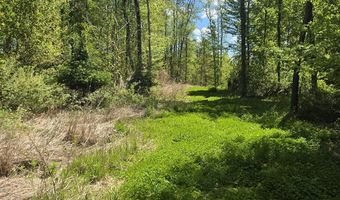 15252 27 Mile Rd, Albion, MI 49224