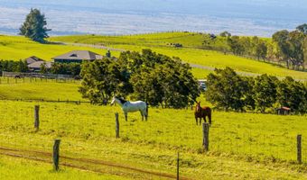 23 ALULIKE Rd, Kamuela, HI 96743