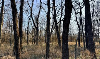 0002 CR-290, Asbury, MO 64832