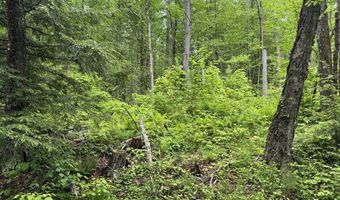 Lot B Beulah Land Rd, Blandford, MA 01008
