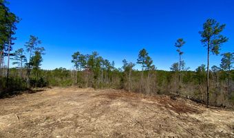 Adams Road - 1 & 2, Bankston, AL 35542
