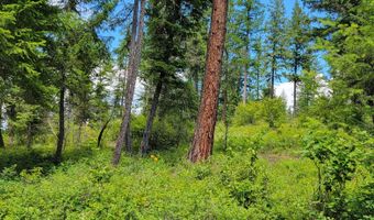 NNA Continental Lane-Tract 1, Bonners Ferry, ID 83805