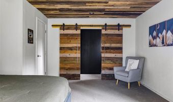 133 GOLD RUN Rd, Alma, CO 80440