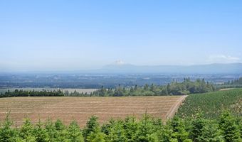 8278 SE Sky Vista Dr, Amity, OR 97101