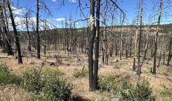 Wren Dr lot 11, Bonanza, OR 97623