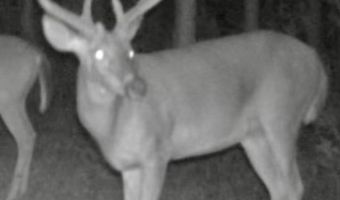 Highway 112, Abbeville, GA 31001