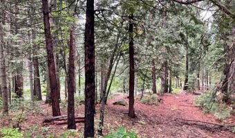 1526 Seminole, Arnold, CA 95223