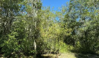 Indian Street, Bay St. Louis, MS 39520