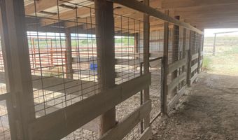 16903 N County Rd 2000, Abernathy, TX 79311