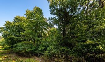Country Road 1564, Baileyton, AL 35019